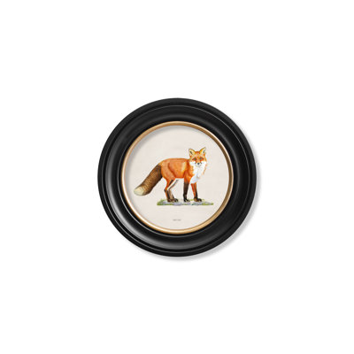 Flamingo by Mid-1800s - Single Picture Frame Print on Archival Matt 230gsm Paper