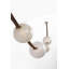 Anne-Marie Barton Dune Belted Light with Fizzy Nude Glass-1263269108