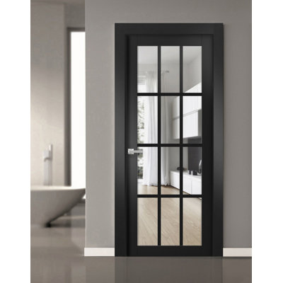 Felicia Clear Glass Solid Wood Standard Black Door