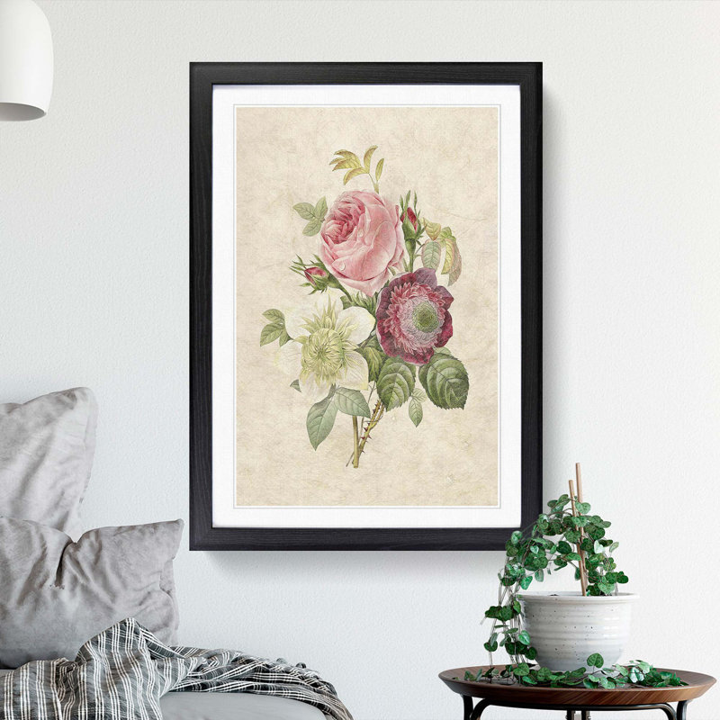 Pink Anemone Rose by Pierre-Joseph Redoute - Framed Print, 48cm H x 36cm W x 2cm D, Black Framed