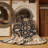 Machine Washable Persian Brown Area Rug-59363361
