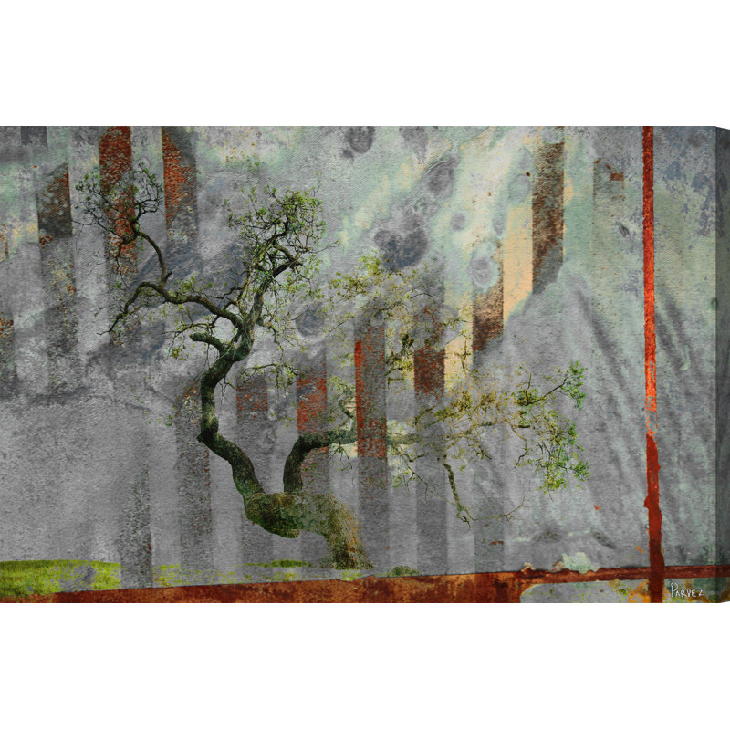 Parvez Taj - Wrapped Canvas Print, 51cm H x 76cm W