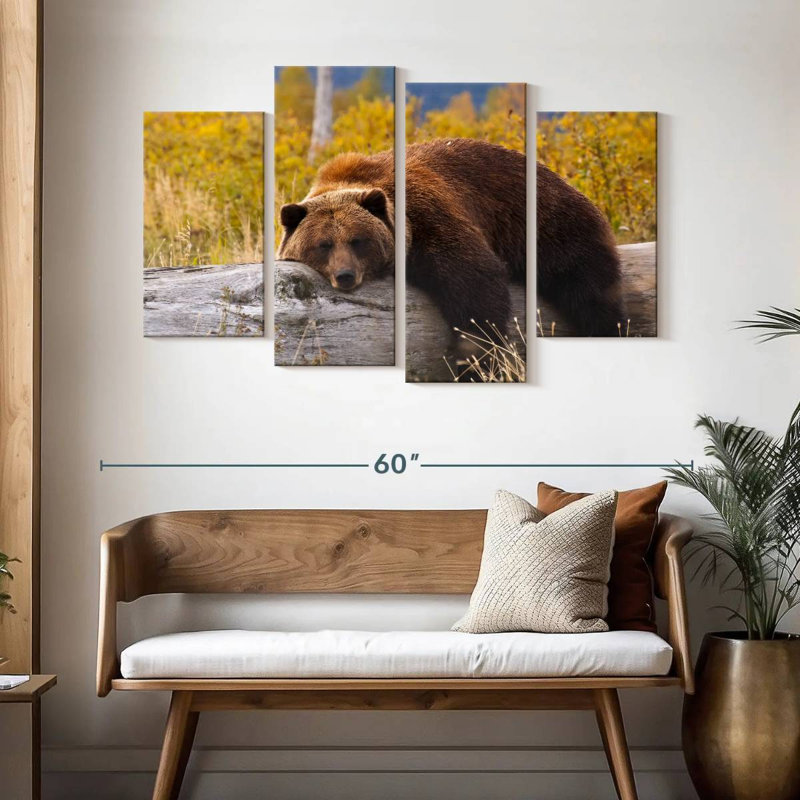 Ours grizzly au repos Brampt, H 32 po x l 52 po