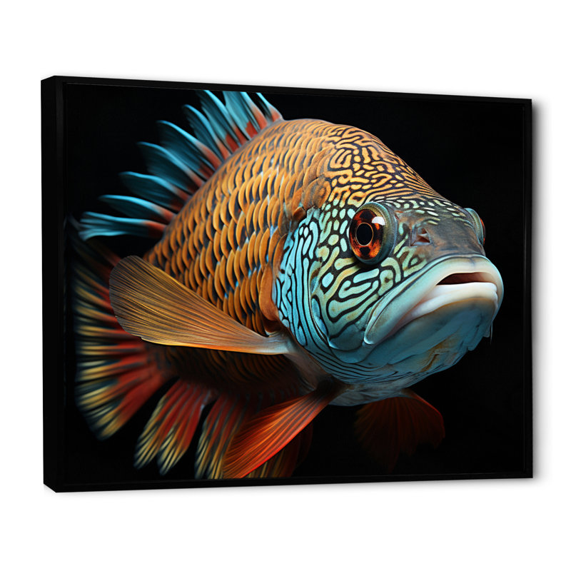 Portrait de poisson - art mural sur toile, Cadre flottant noir, 16" H x 32" W