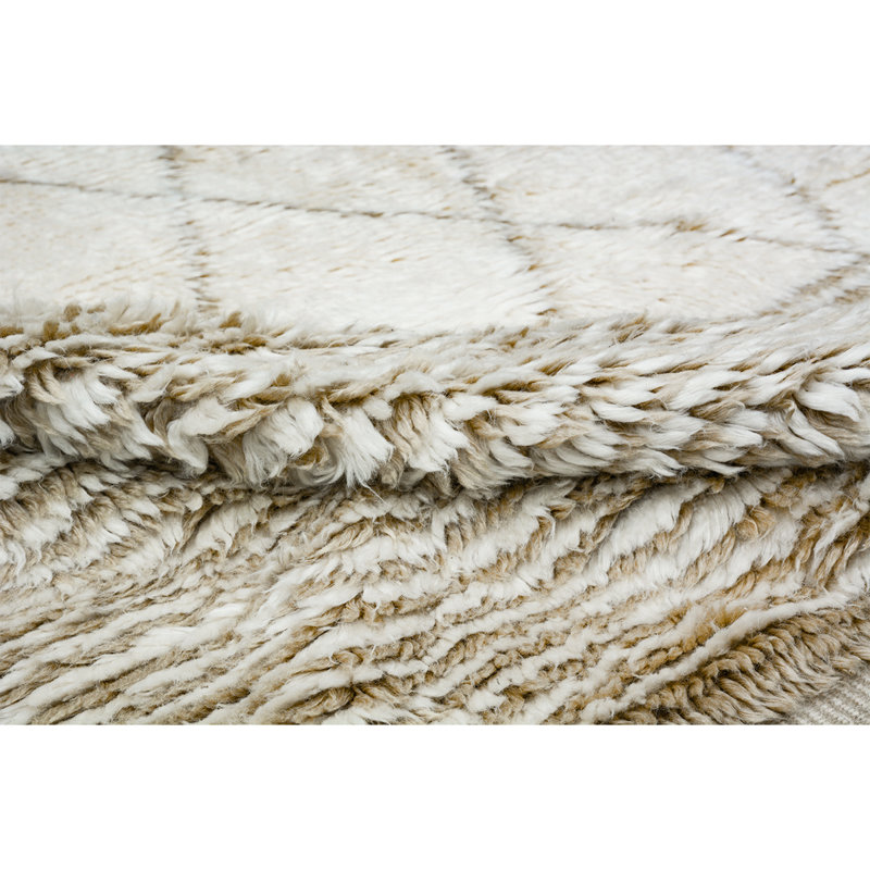 Moroccan Wool Moroccan Area Rug, Rectangle 10' x 14'