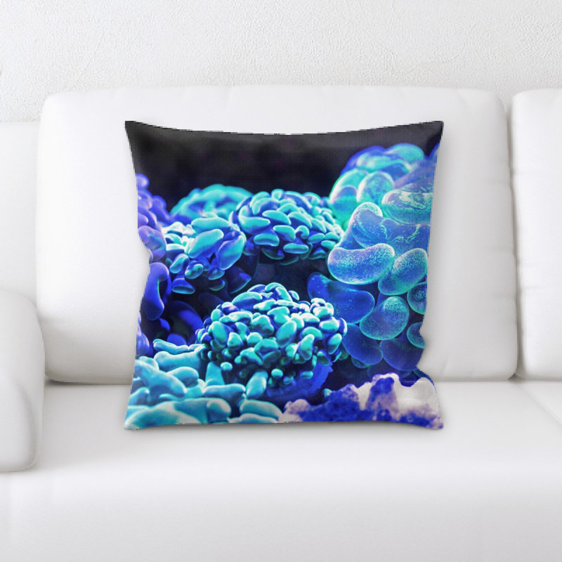 Housse et insert de coussin carré Sharp Colors
