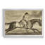 «Distinguished Horses I», reproduction d'art sur toile-813850193-813850192