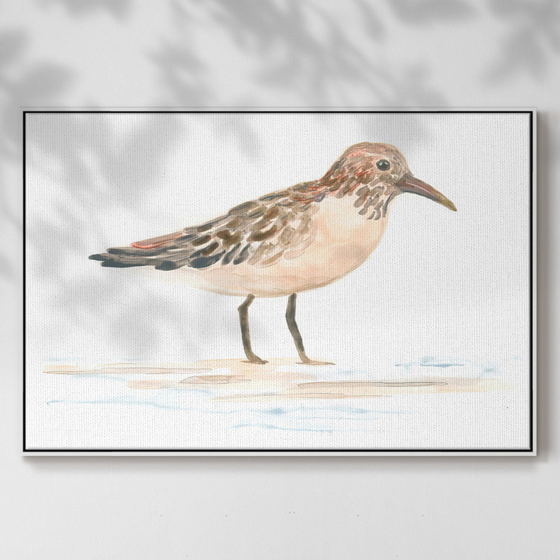 «Pretty Piper III», reproduction d'art sur toile, Blanc, H 27 po x l 41 po x P 2 po