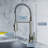Dowell Pull Down Kitchen Faucet-43235576