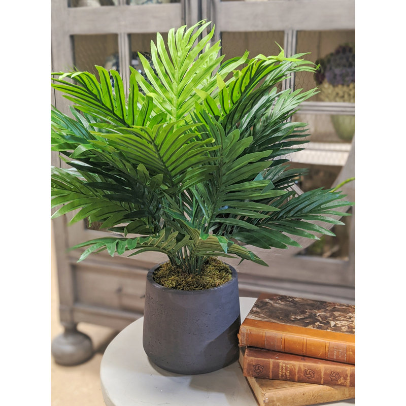 Palmier artificiel en pot 16 po Areca, Gris