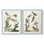 Oiseaux antiques dans la nature, impression encadrée de qualité supérieure - prête à être accrochée - aucun clou requis - aucun clou requis-1103485941-1103485950