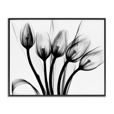 «Modern Tulip Blossom», silhouette monochrome abstraite, gris, ferme rustique, estampe numérique, art texturé par Albert Koetsier