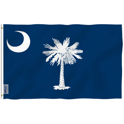 South Carolina State Flag Polyester 36 x 60 in. House Flag