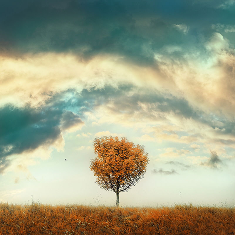 Color Your Mood_145 Print by David Keochkerian, 24" H x 24" W x 1.5" D
