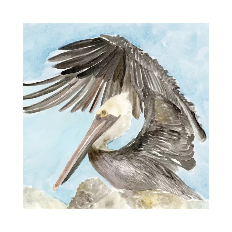 Soft Brown Pelican II by Stellar Design Studio - Wrapped Canvas Gallery-Wrapped Canvas Giclée