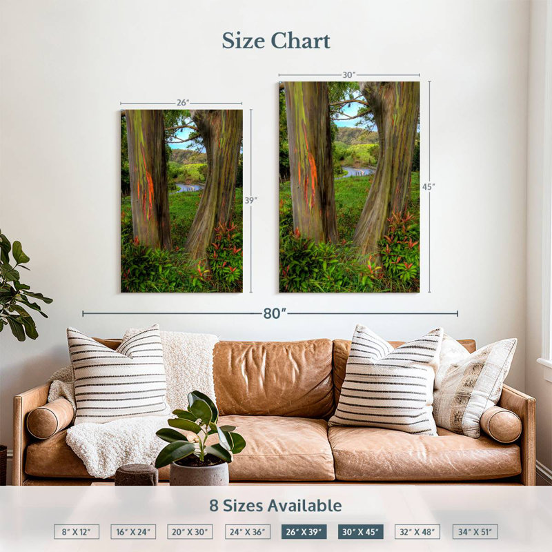 Harnek Roadside Rainbow Eucalyptus, 39" H x 26" W