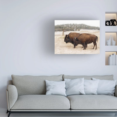 «Twin Buffalo» bolognaise sur