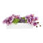 Orchid and Sedum Arranged in Fiberstone Planter-1944020321-1944020326