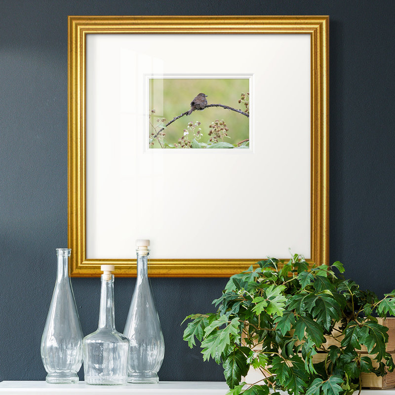 «Resting Sparrowpremium», reproduction encadrée, L 17 po x H 17 po , Papier avec cadre doré