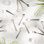 Stainless Steel Wood Stainless Steel Teaspoon Flatware