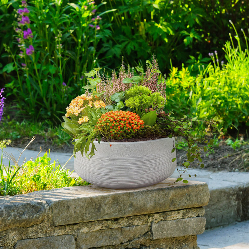 Fibreglass Plant Pot, Beige, 12cm H x 31cm W x 31cm D