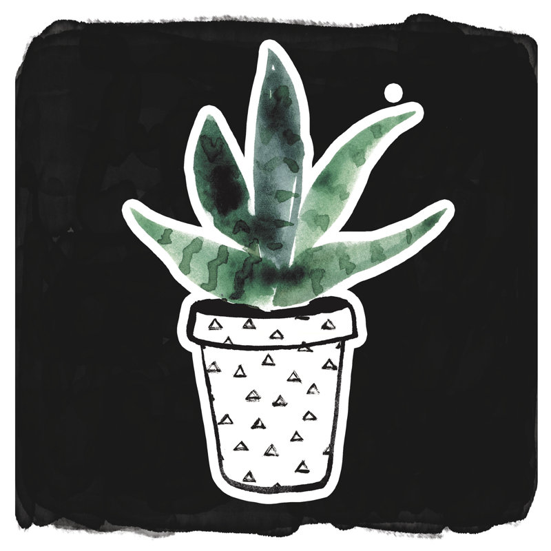 Succulent - Wrapped Canvas Painting, 76cm H x 76cm W x 3.8cm D