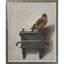 Le chardonneret par Carel Fabritius, reproduction d'art sur toile encadrée-775046044-775046047