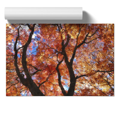 Maple Tree Painting - Frameless Print