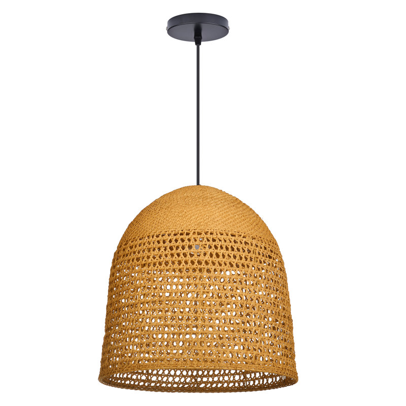 Luminaire suspendu 1 lumière Dome, H 17,71 po x l 11,81 po x P 11,81 po  