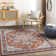 Aldusa Oriental Indoor Rug