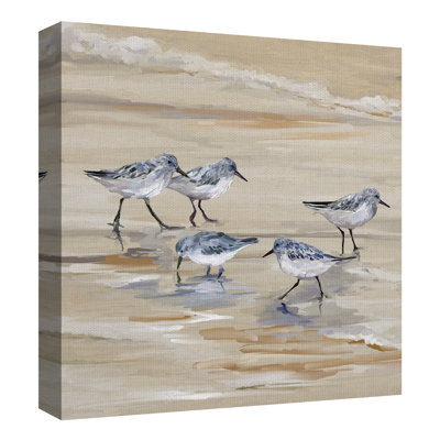 " Sandpiper Beach II Amber " by Studio Arts
