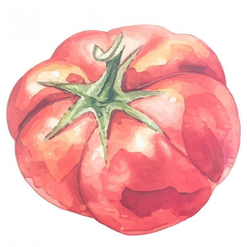 Tomato Shaped Placemat