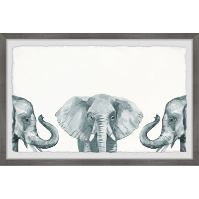 Elephant Poses Framed Print
