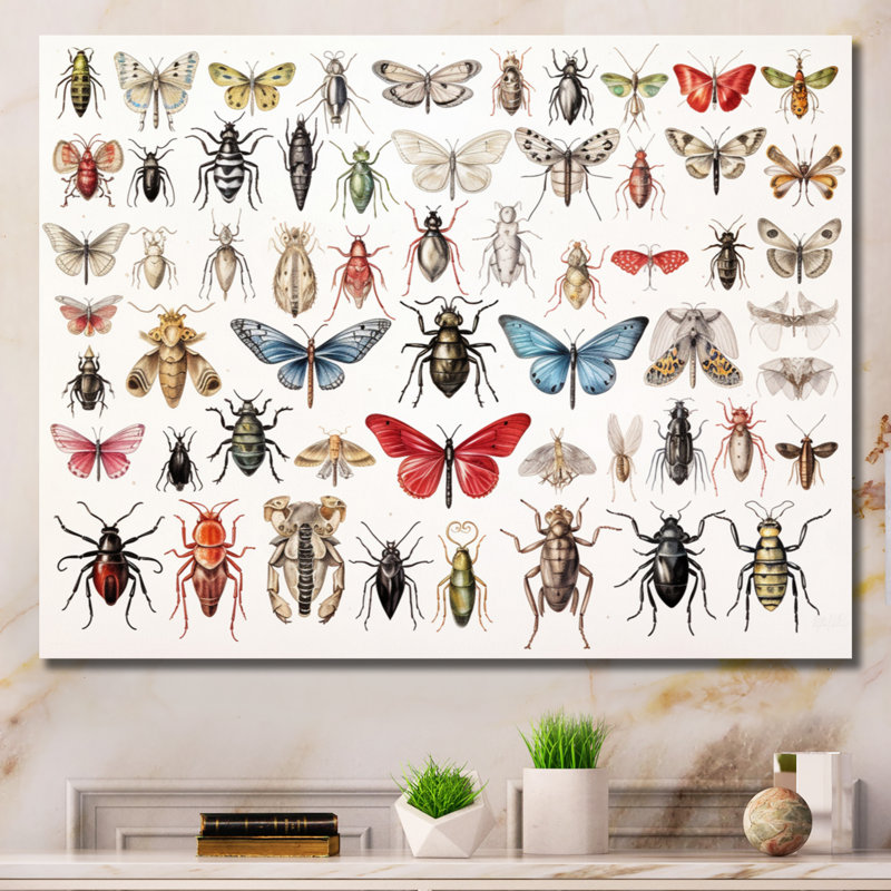 «Tiny Insect Wonders II», reproduction sur toile, H 16 po x l 32 po x P 1 po, Toile tendue