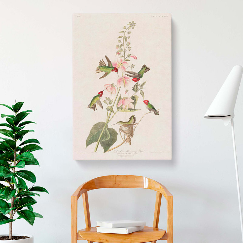 Columbian Hummingbirds - Wrapped Canvas Painting, 50cm H x 35cm W x 3cm D