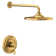 Colinet Eco Performance Shower Faucet