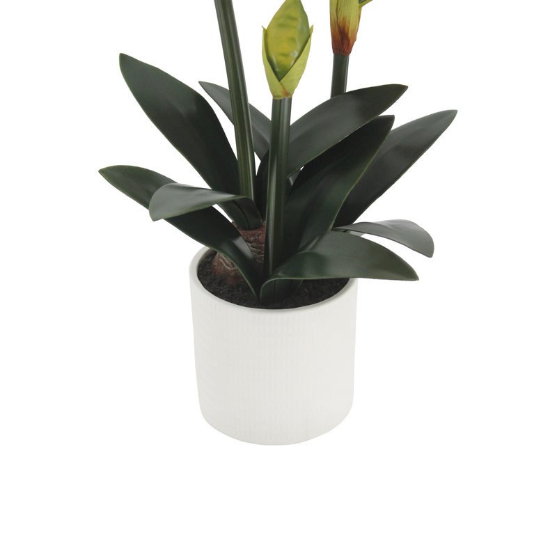 24 in. Red Amaryllis Faux Floral Arrangement in White Pot - Seasonal Holiday Decor, White
