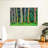 " Eucalyptus Rainbow Trees "-1511611811