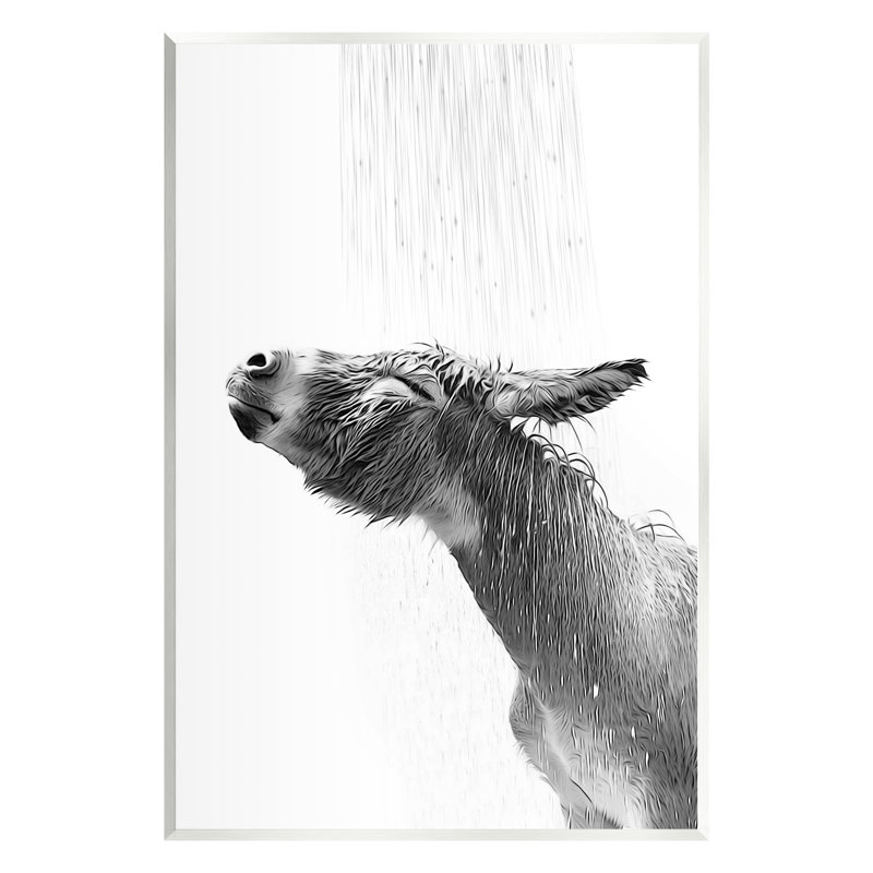 Az-231 - Impression encadrée d'âne pour la salle de bain, H 19 po x l 13 po x P 0,5 po