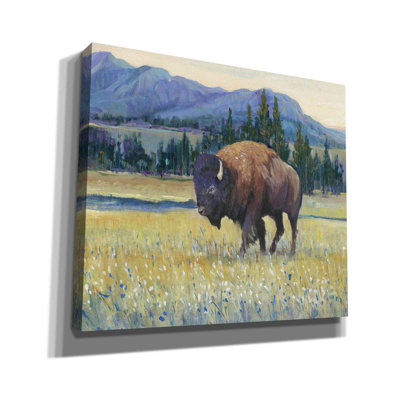 «Animals Of The West II» par Tim O'toole, art mural sur toile