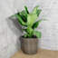 Ensemble de 2 pots de fleurs décoratifs en osier