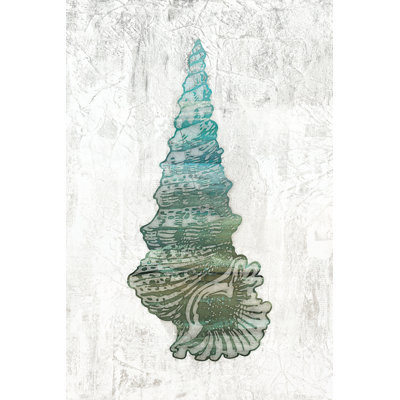 Blue Rustic Seashell - Wrapped Canvas Print