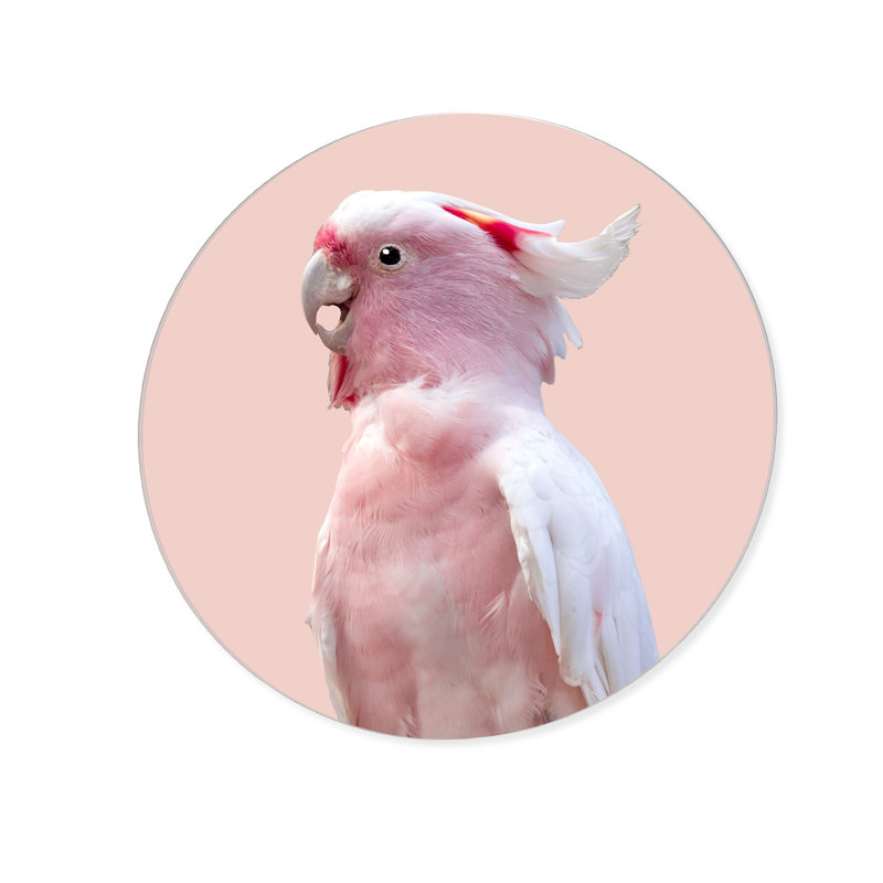 Pink Exotic Feather Coral Fashion and Glam Round Acrylic Art by Oliver Gal, 20" H x 20" W