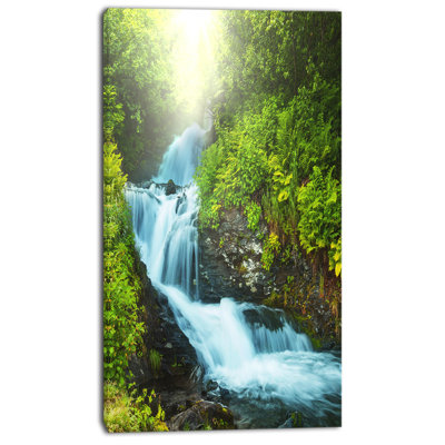 «Wonderful Creek in Green Forest», reproduction de photo sur toile tendue