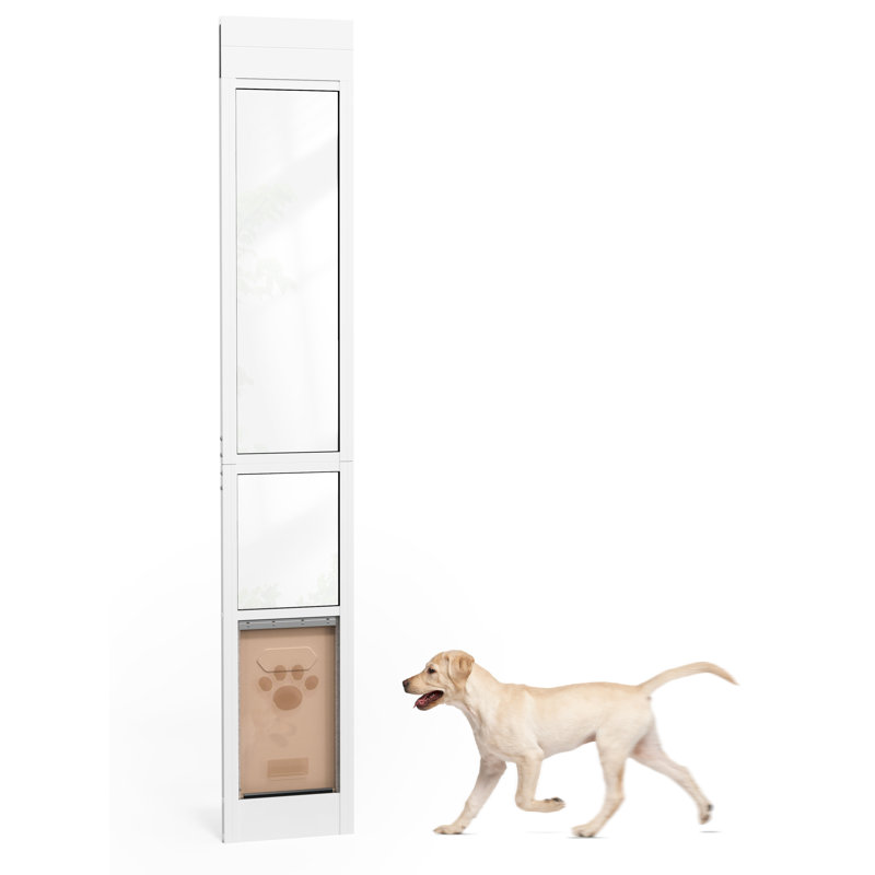 Porte pour chien pour porte coulissante en verre, hauteur réglable, cadre en aluminium et verre trempé, rabat pour animal de compagnie, verrouillage sécuritaire, installation facile, pour chiens de taille moyenne