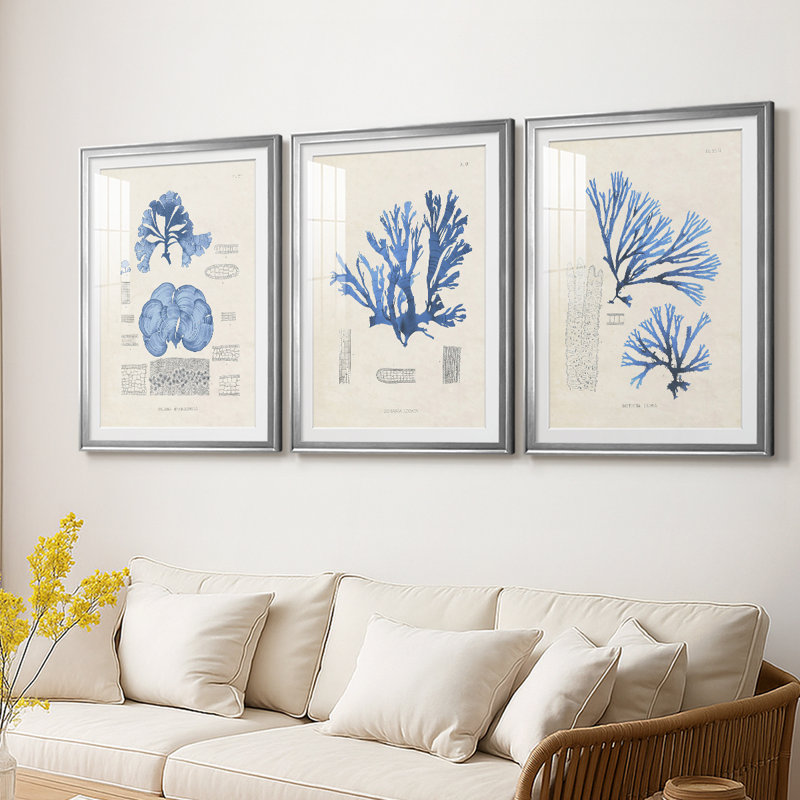 Blue Marine Algae IV - reproduction encadrée sur mesure de qualité supérieure mate - 3 pièces, H 21 po x l 30 po
