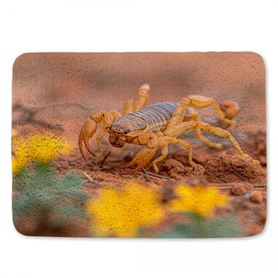 Tapis de bain Scorpion