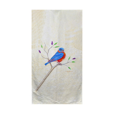 Serviette de plage Mercede Dick's Blue Bird