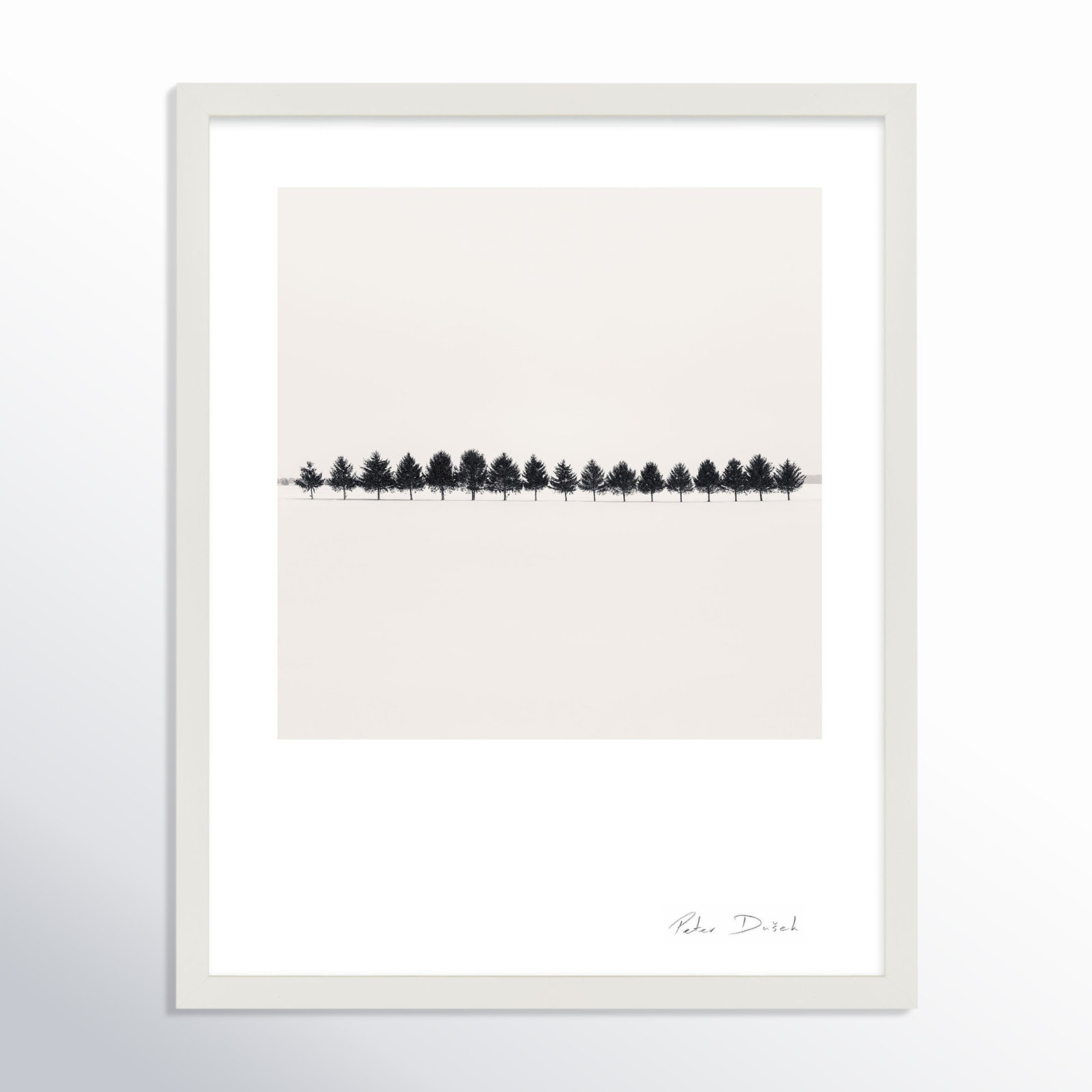 Seventeen Trees by Peter Dušek, 20" H x 16" W x 1.25" D, White