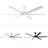 SkyFan Cassiopeia 60" 6-Blade Ceiling Fan-1243291115